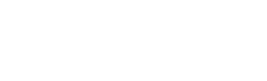 brand new day logo